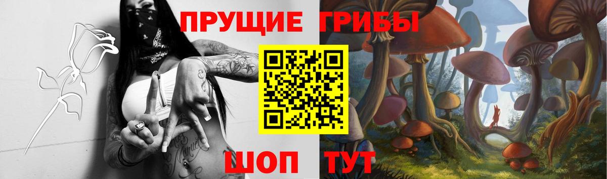 Псилоцибиновые грибы ЛСД  Вход с VPN  Галлюциногенные грибы Psilocybe  где купить наркоту  Михайловка 
