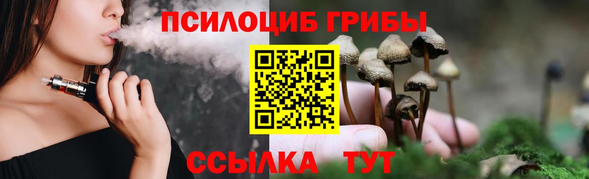 Галлюциногенные грибы Psilocybe Михайловка